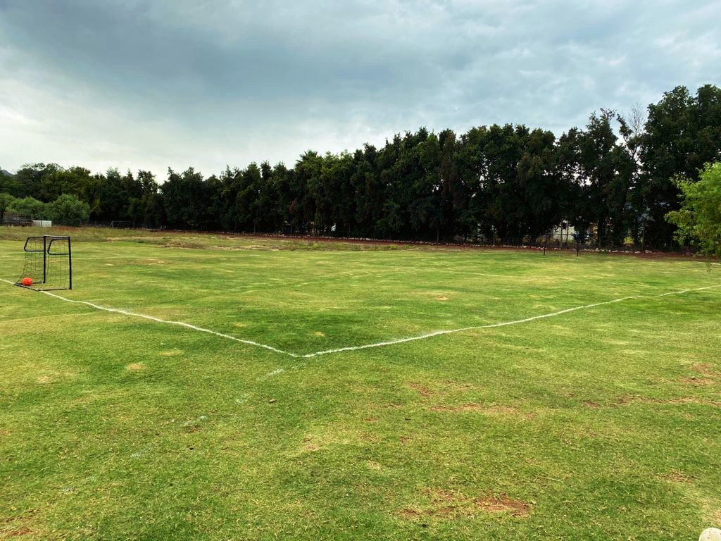 Soccer field1